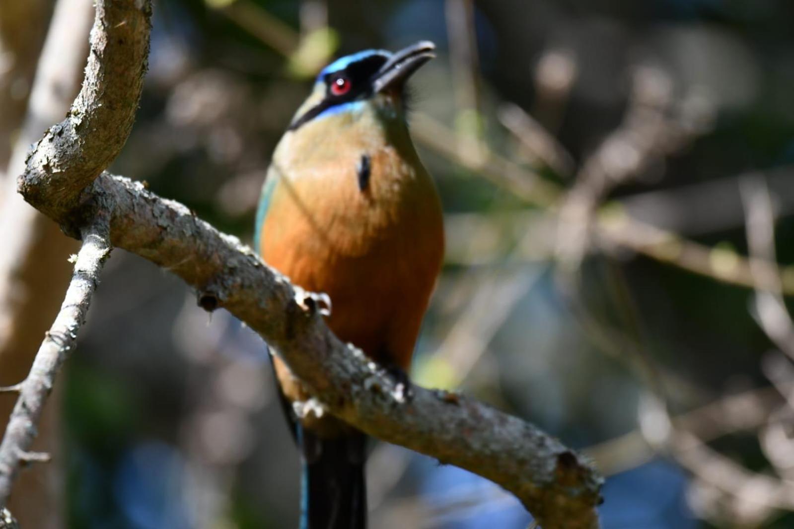 El Paraiso Posada Finca San Vicente Barichara Kültér fotó