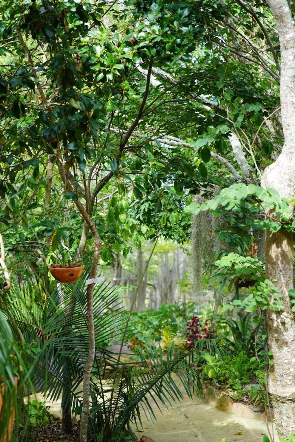 El Paraiso Posada Finca San Vicente Barichara Kültér fotó